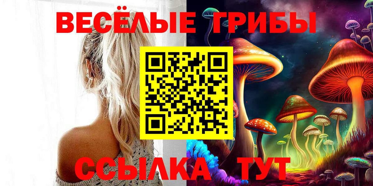 Галлюциногенные грибы мицелий Златоуст